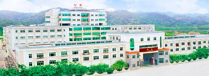New Starlight Plastics Company Linited