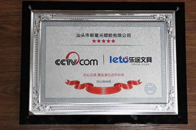 CCTV.net Partner